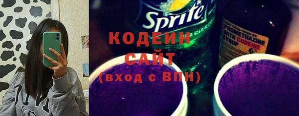 трава Коряжма