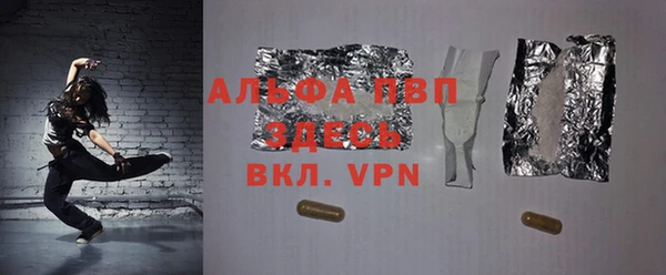 трава Коряжма