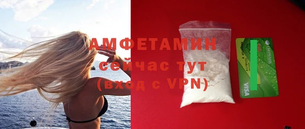 трава Коряжма
