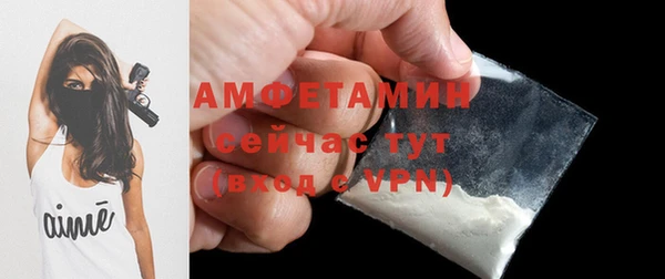 трава Коряжма