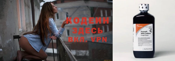 трава Коряжма