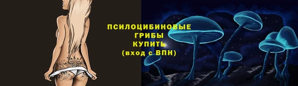 Альфа ПВП Костерёво
