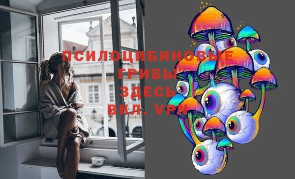 трава Коряжма