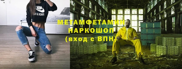 трава Коряжма