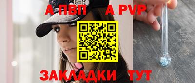 стафф Камышлов