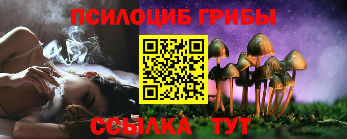 Минеральные Воды  Галлюциногенные грибы Cubensis  Вход с VPN 